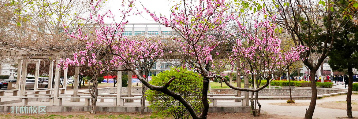 北林校区1